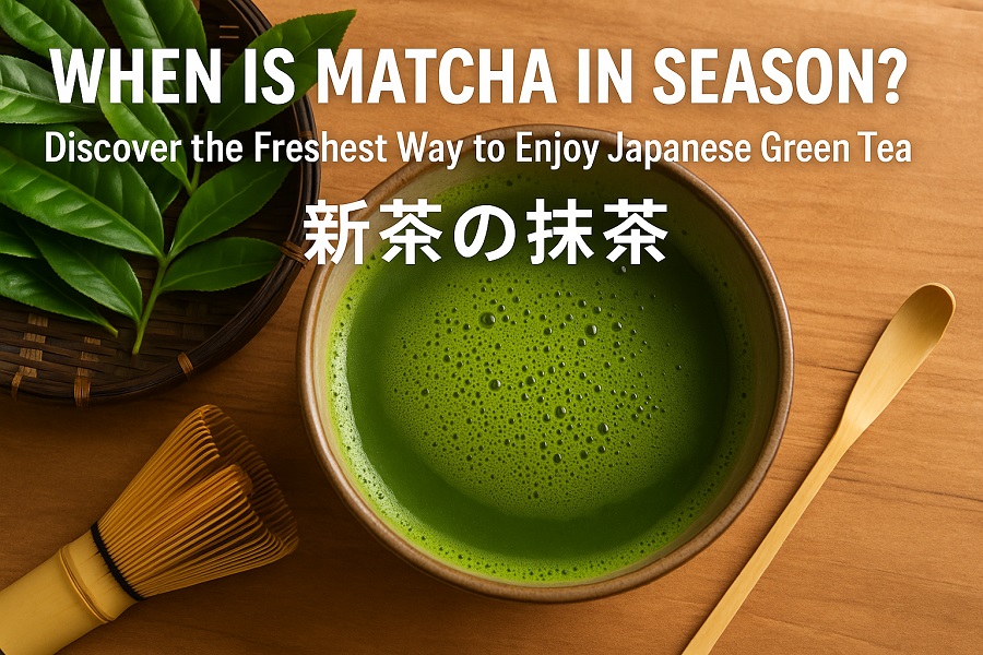 When Is Matcha in Season? Discover the Freshest Way to Enjoy Japanese Green Tea